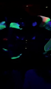 346926427_9385773244830313_1188432334936718682_n